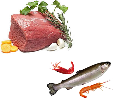 肉食品水產(chǎn)品烘干機、肉脯烘干設(shè)備、肉類烘干設(shè)備